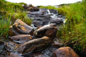 The Hidden Cost of Poor Drainage: Why Water Is One of the Biggest Threats to Your Property